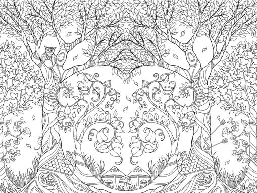 Whimsical coloring books for grown-ups are a hit