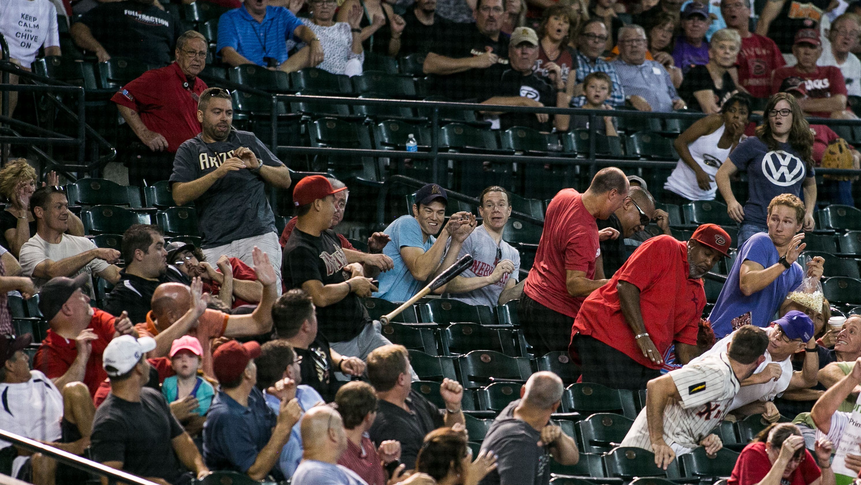 Arizona Diamondbacks fans, 2014 season