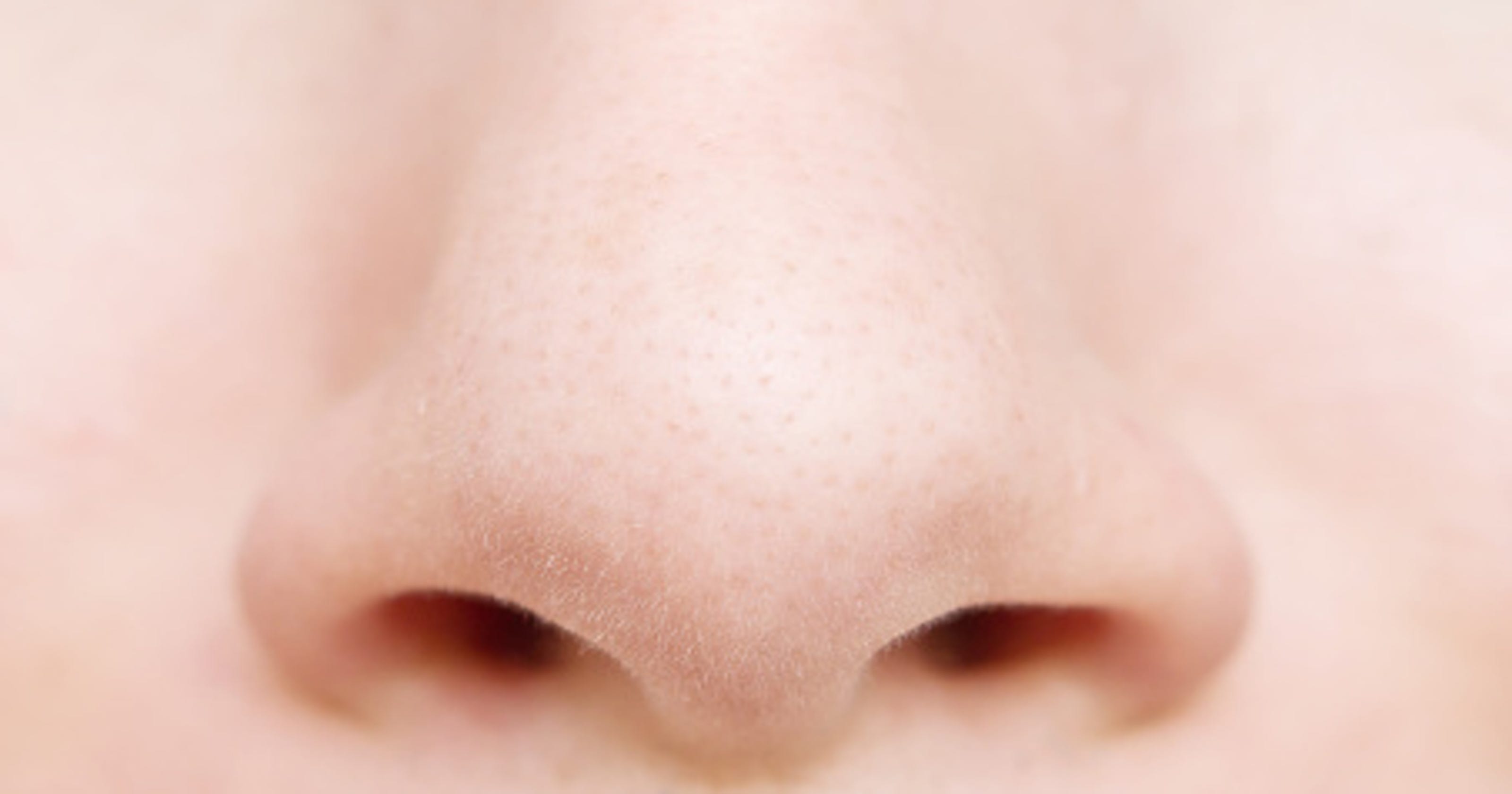 Покажи картинки носа. Человеческий нос. Нос крупным планом. Нос фото.