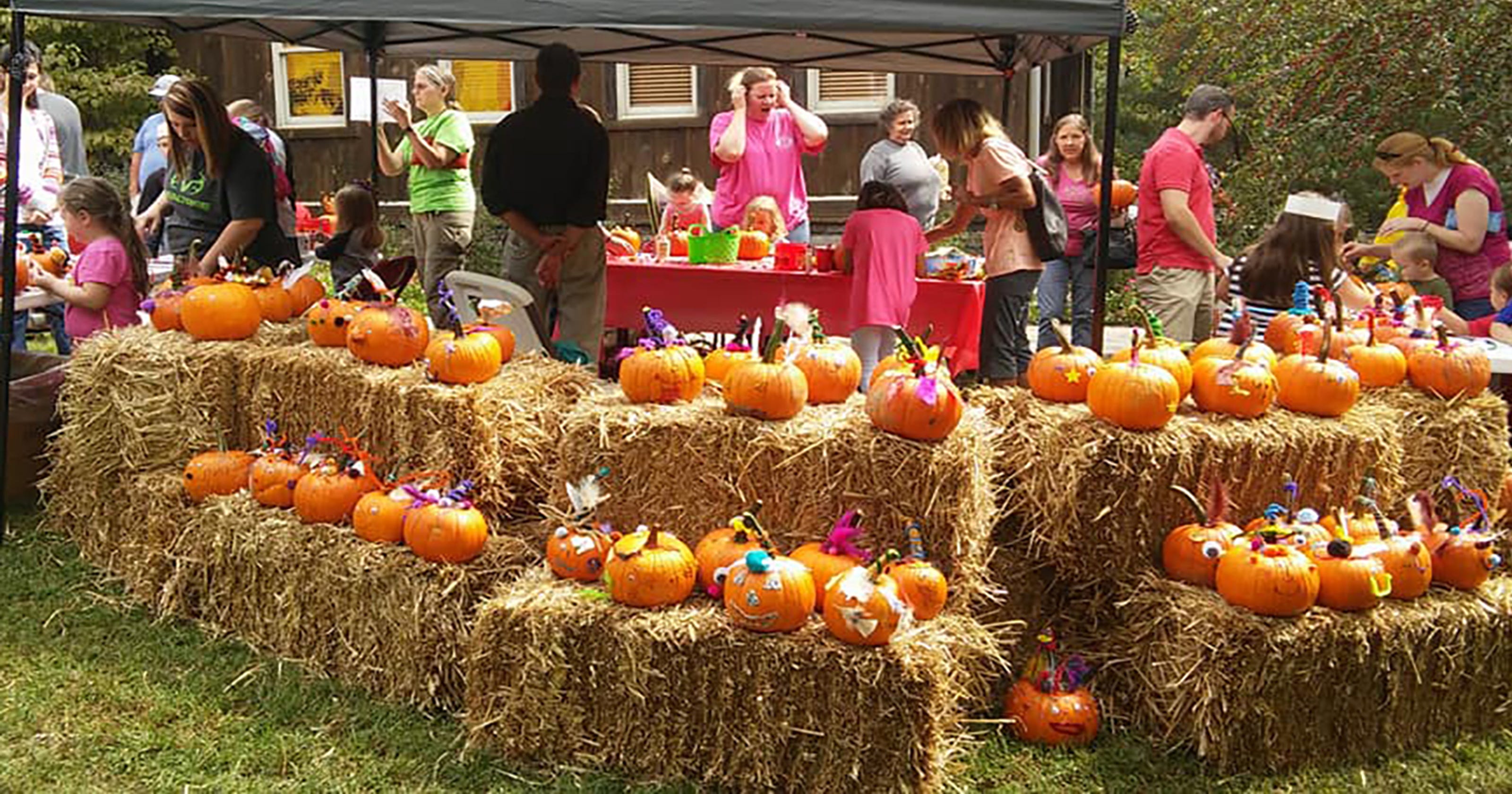 Fall festivals, family fun around Middle Tennessee this October, November