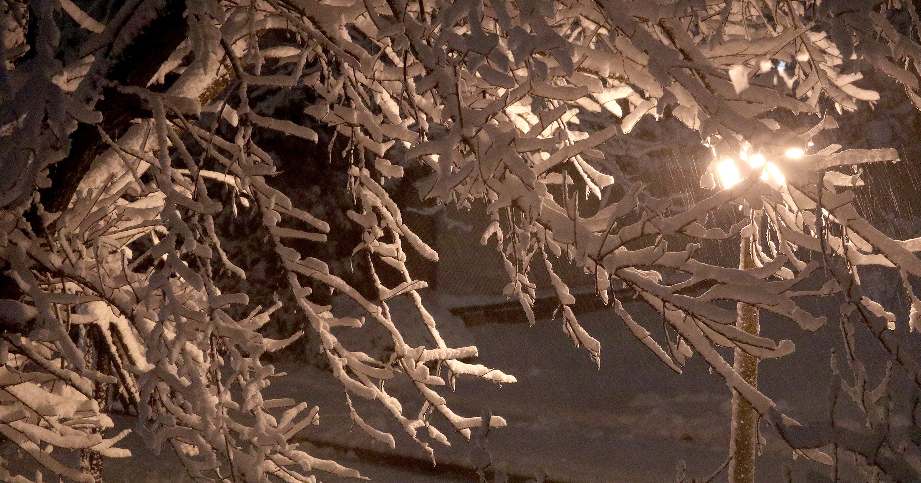Man In Tent During Snowstorm Hurt By Falling Tree In Toms River