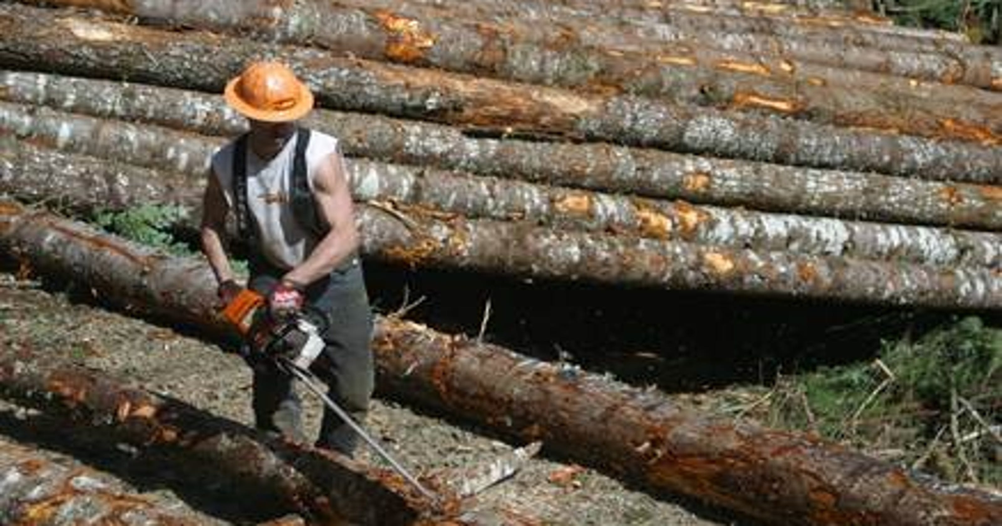 Economic drivers to commercial logging Statesman Journal