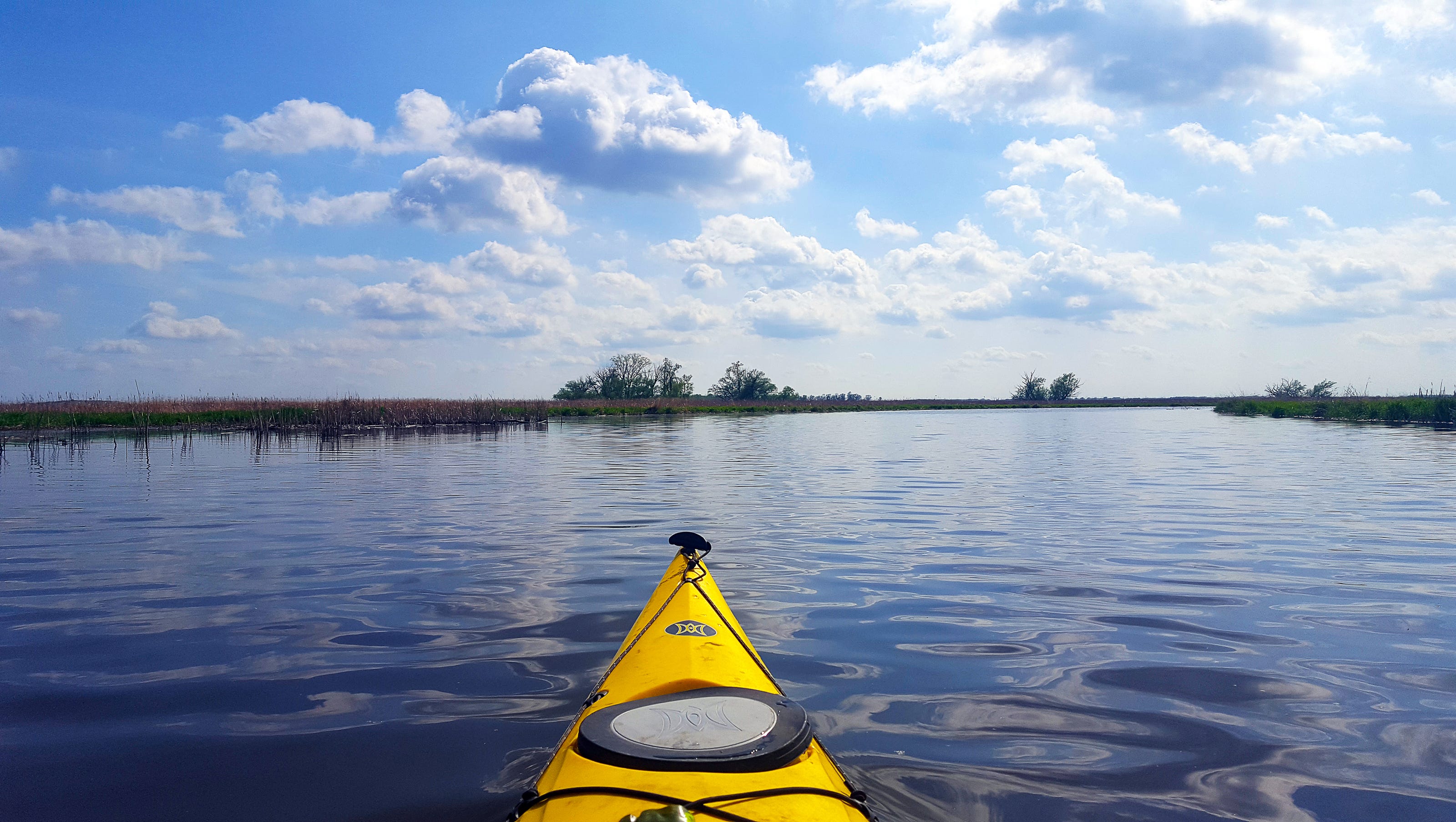 Horicon Marsh is a Wisconsin treasure worth a visit by canoe, bike or foot