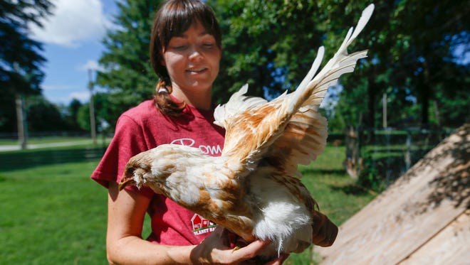 Tabitha Blaney holds one of her chickens Ruby on Monday, Aug. 8, 2016. Blaney saved Ruby from being eaten by a snake twice. 