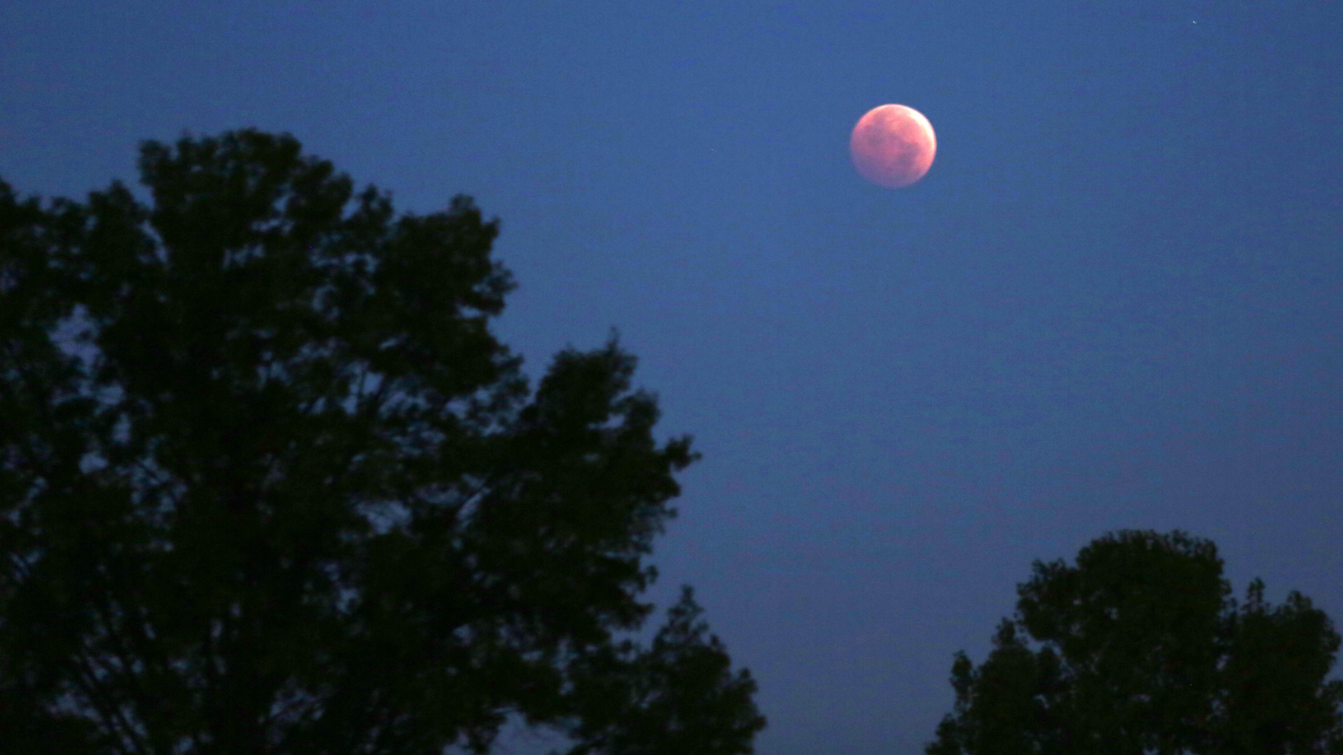 How to watch November's total lunar eclipse in Central Indiana
