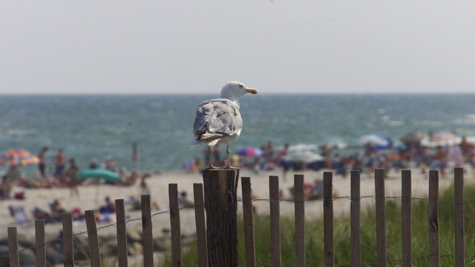 NJ beach badges 2021 What it costs this summer