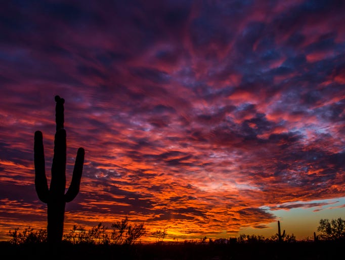 Best Arizona photos 2015: AZ365 Year in Review