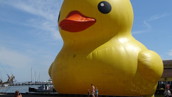 The Worlds Largest Rubber Duck made its way to Sandusky for Festival of Sail Sandusky this weekend. The giant rubber duck is 61 feet tall and weighs 15 tons.