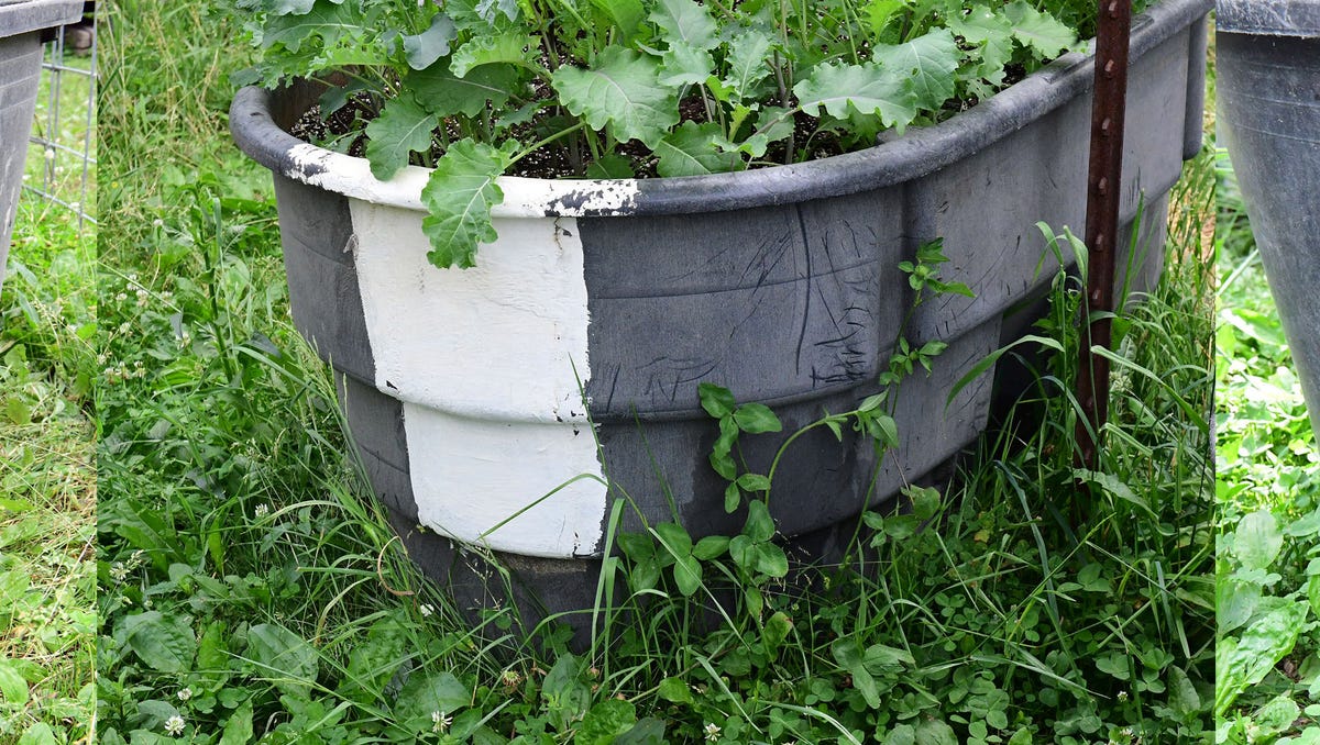 Old Water Tanks Get New Life As Raised Bed Gardens