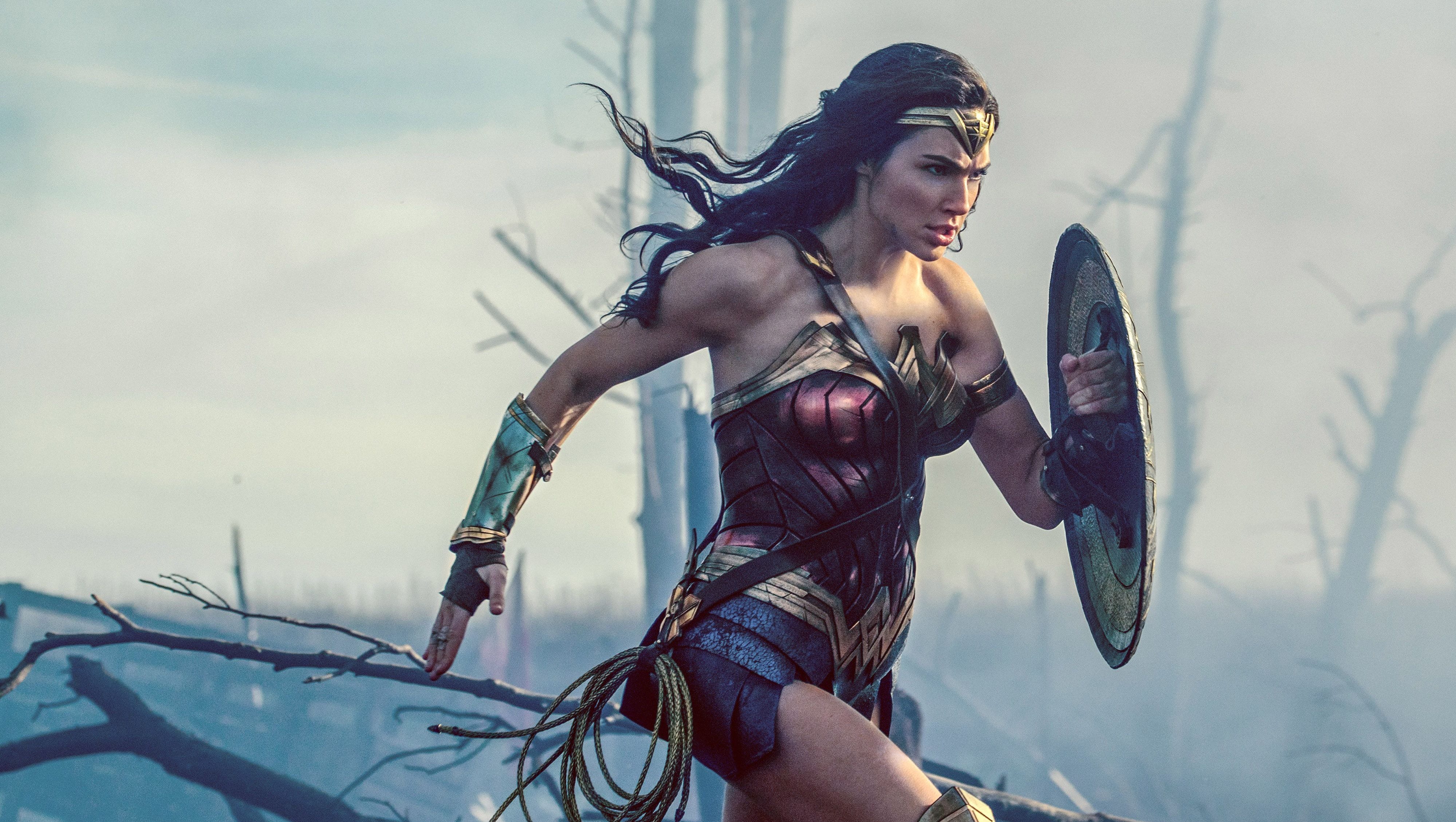 Wonder Woman Why Female Superhero Movies Always Flop Until Now