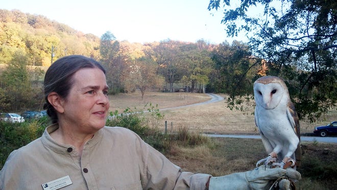 Amy MacKenzie, with Orion, is Owl’s Hill Nature Sanctuary’s live animal supervisor.