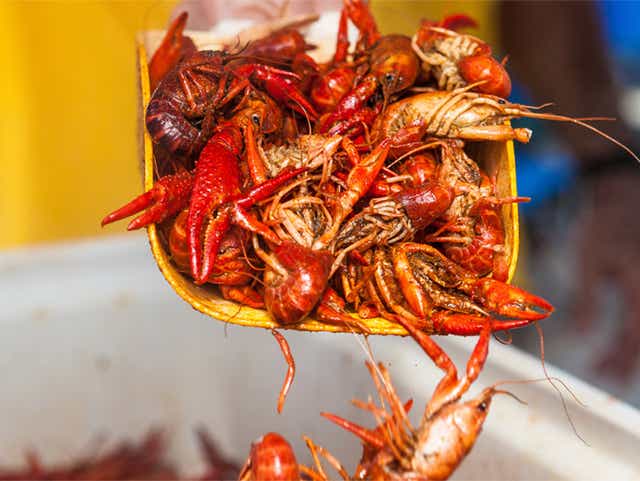18 Delicious Facts About Louisiana Crawfish