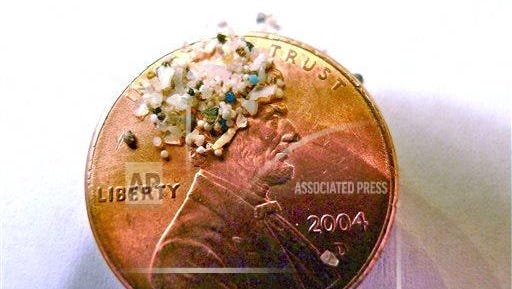 A sample of "microbeads" collected in eastern Lake Erie is shown on the face of a penny.