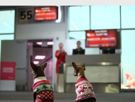 Virgin America was known for its trendy and irreverent