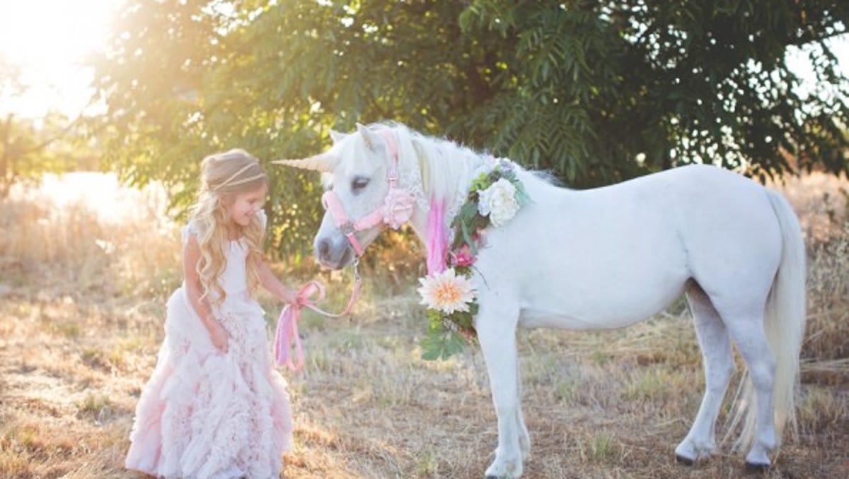 Pony Dressed As Unicorn Leads Calif Authorities On Wild Chase