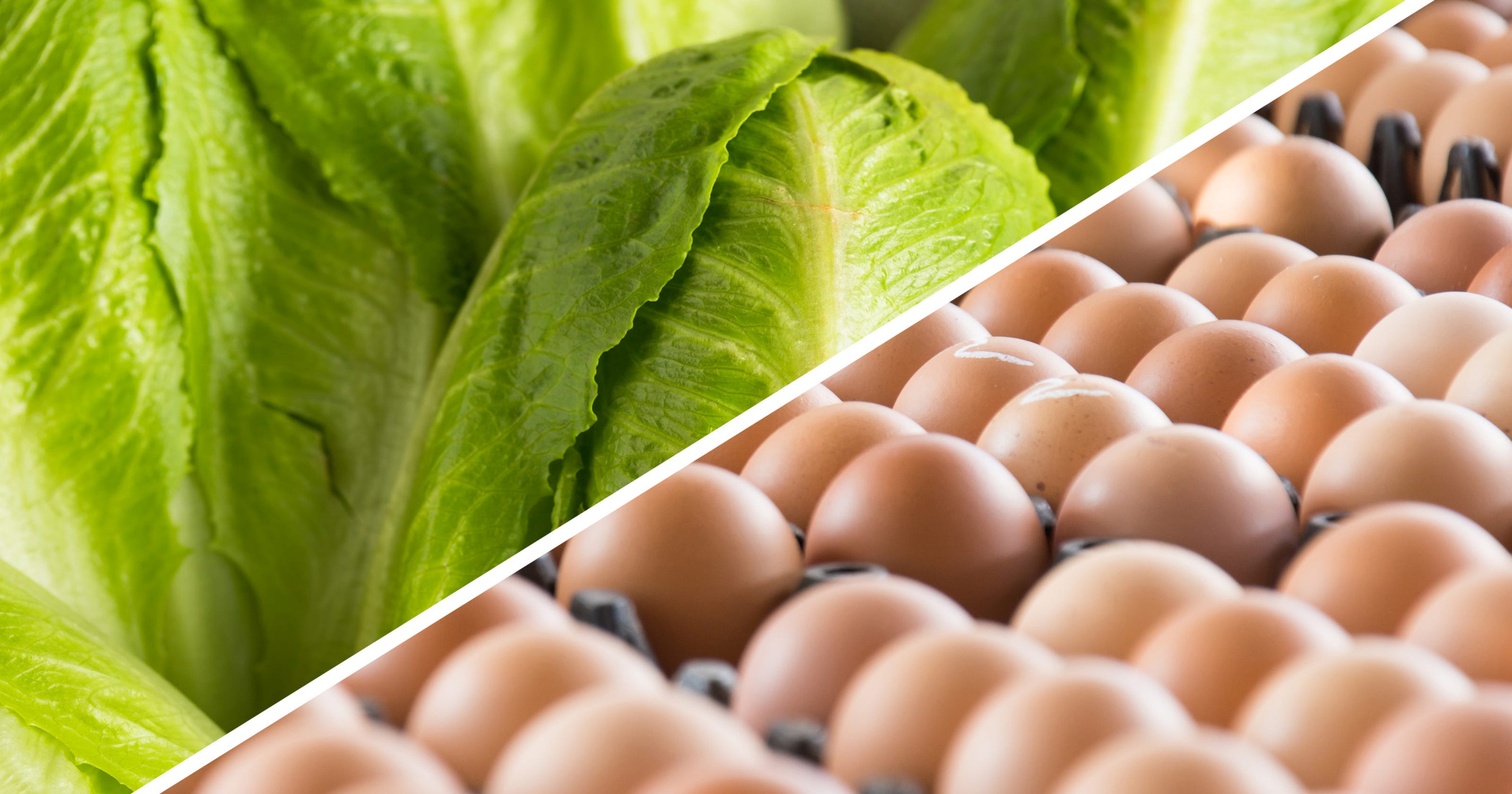 PA recalls Check your lettuce and eggs, now