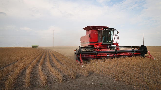 Soybeans are harvested from a field in Minnesota. The future of farming will be impacted in coming years as a significant number of older farmers retire or pass away.