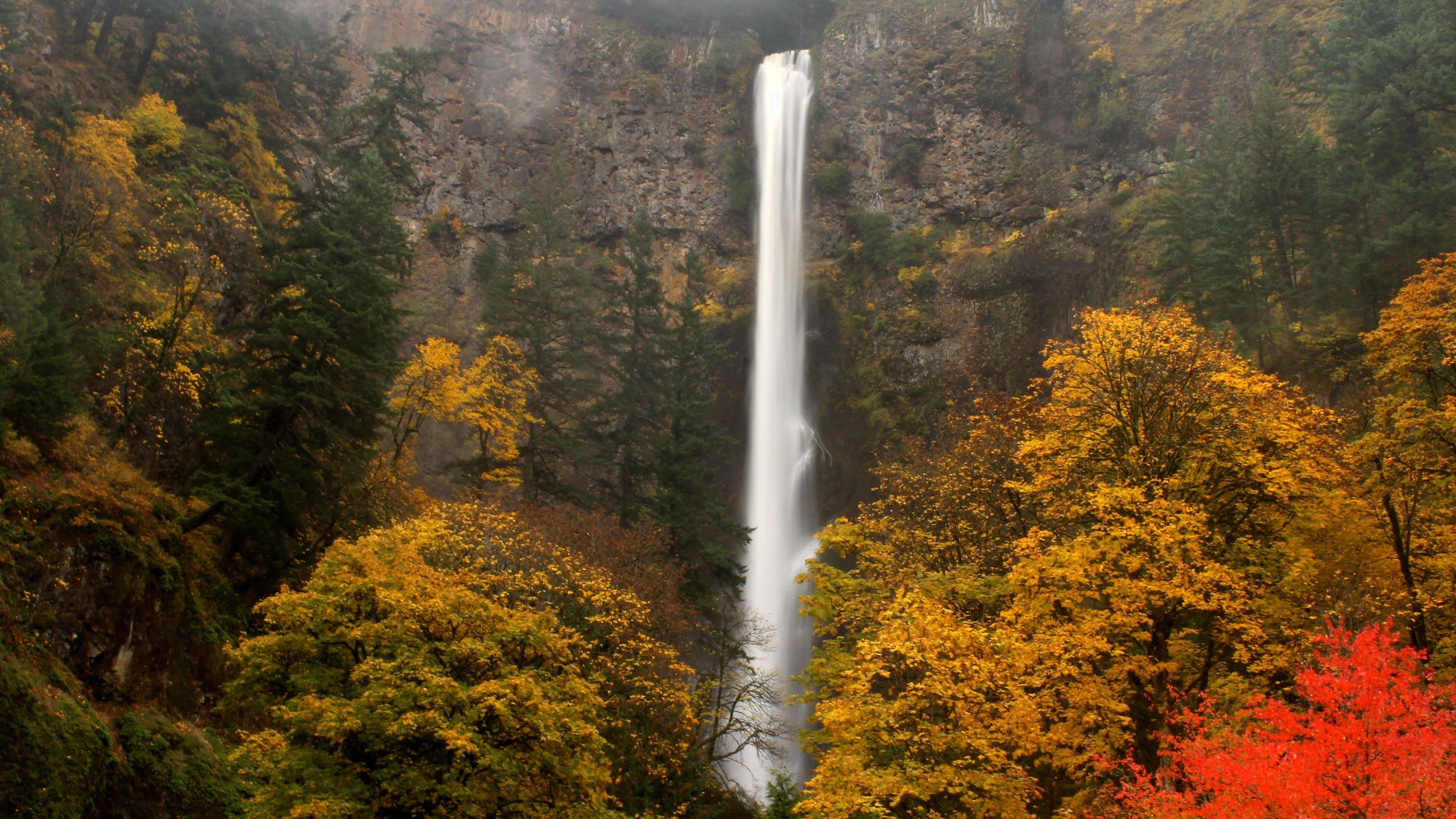 Multnomah Falls Other Columbia Gorge Trails Reopen After Extended Covid 19 Closures