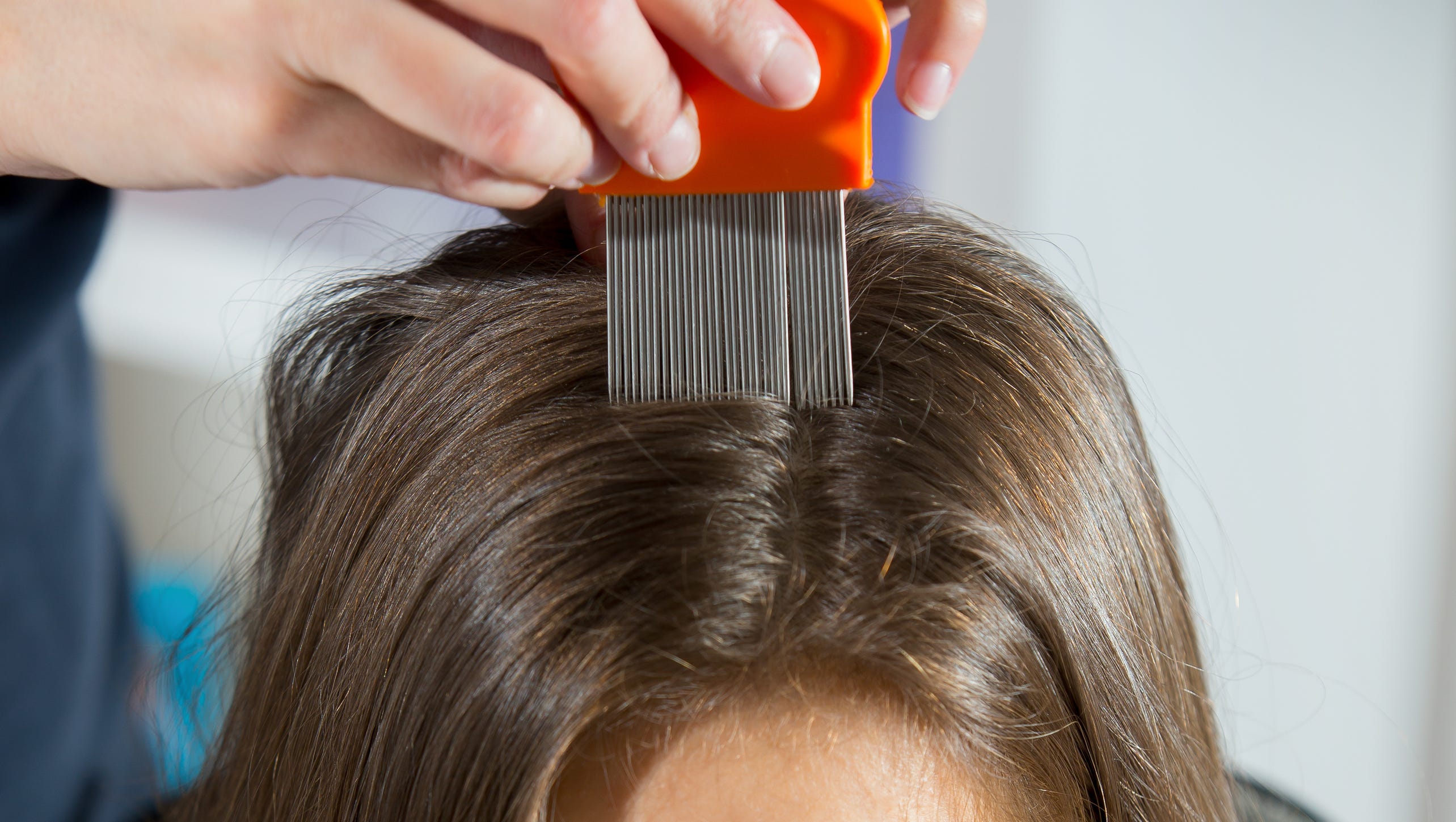 Active Fit: Protecting Your Children from Head Lice Active Fit: Protecting Your Children from Head Lice