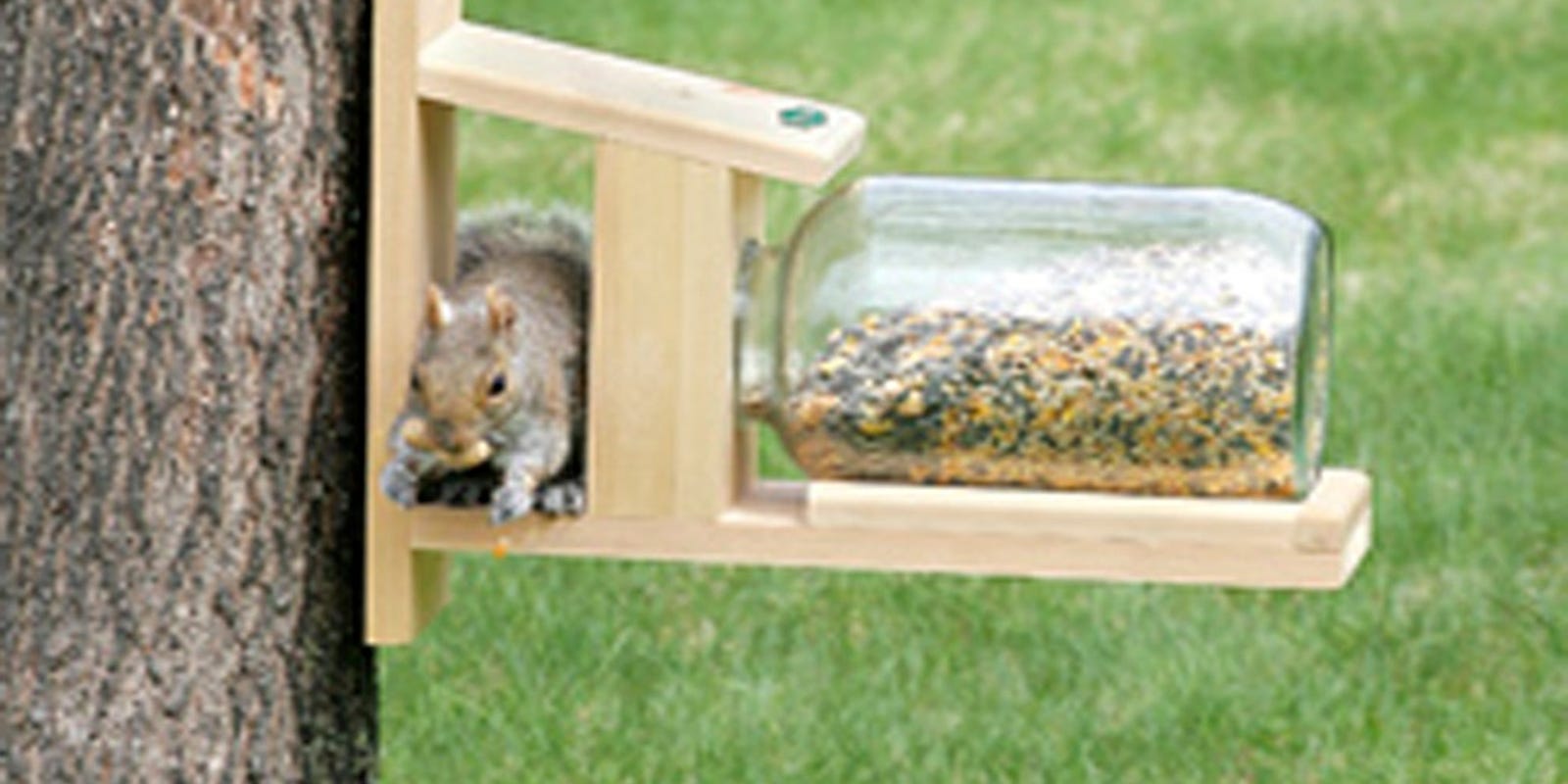 Squirrel Wars How To Minimize Their Presence In Bird Feeder