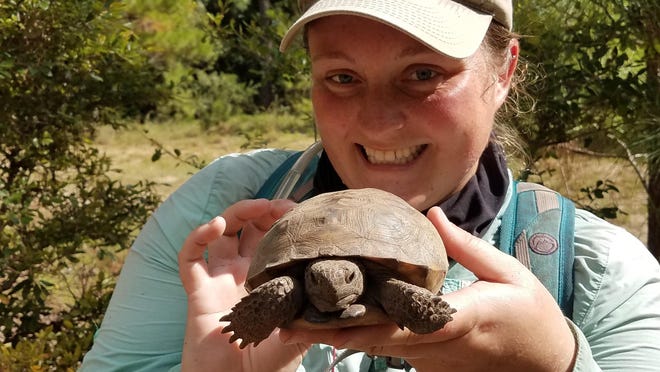 Savannah McGuire, biologist with the Georgia Department of Natural Resources, with a subadult gopher tortoise. Adult tortoises are much larger.