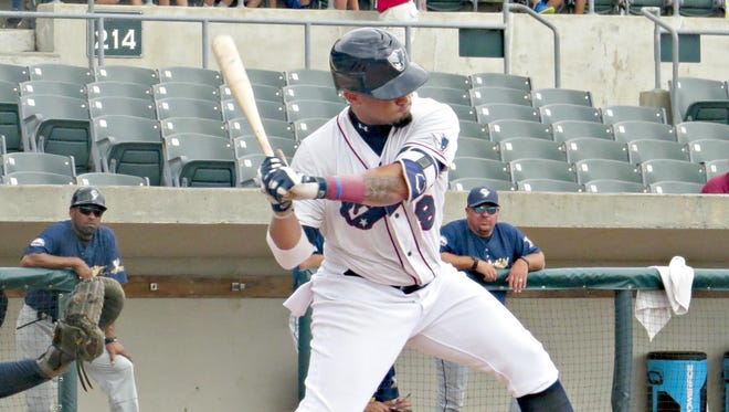 David Vidal of the Somerset Patriots leads the Atlantic League in home runs with a career-high 21.