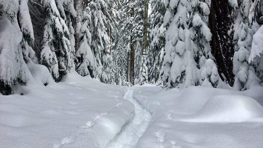 5 Most Stunning Snowshoe Routes In Oregon Including Mount Hood