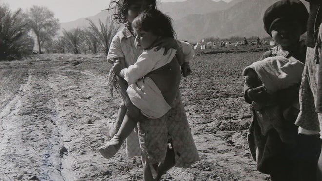 Dorothea Lange photographed these Mexican child laborers in the fields of Mecca in 1937. This photograph is part of the exhibit that the La Quinta Museum unveiled as part of the United Nations’ designation of 2015 as the International Year of the Light and Light-Based Technologies. “Nature’s Beloved Son: Rediscovering John Muir’s Botanical Legacy” highlights his love of botany and traces his travels through North America. “Iconic Light” is a photo exhibit of the Coachella Valley in the 1930s, with rare photos by Ansel Adams and Dorothea Lange. The third exhibit is “Poetry in Space: Hubble at 25,” featuring images from the Hubble telescope. In this photo part of the John Muir exhibit is photographed.