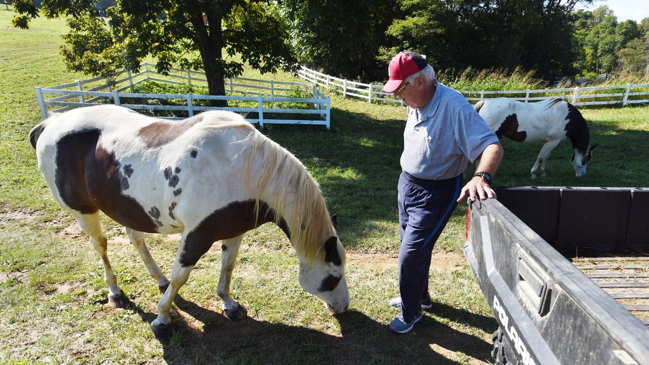 Zanesville animal escape lives on for witnesses