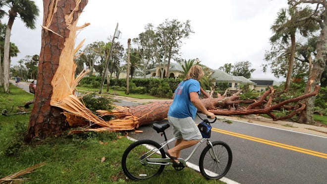 Fema Helps Upgrade Daytona Beach Library Flooded In Hurricane Irma Fema Helps Upgrade Daytona Beach Library Flooded In Hurricane Irma