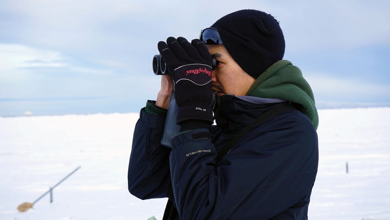Ice Melt Forces Polar Bears Into Paths Of Alaska Schoolchildren