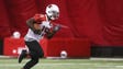 Arizona Cardinals wide receiver Jeremy Ross (15) during
