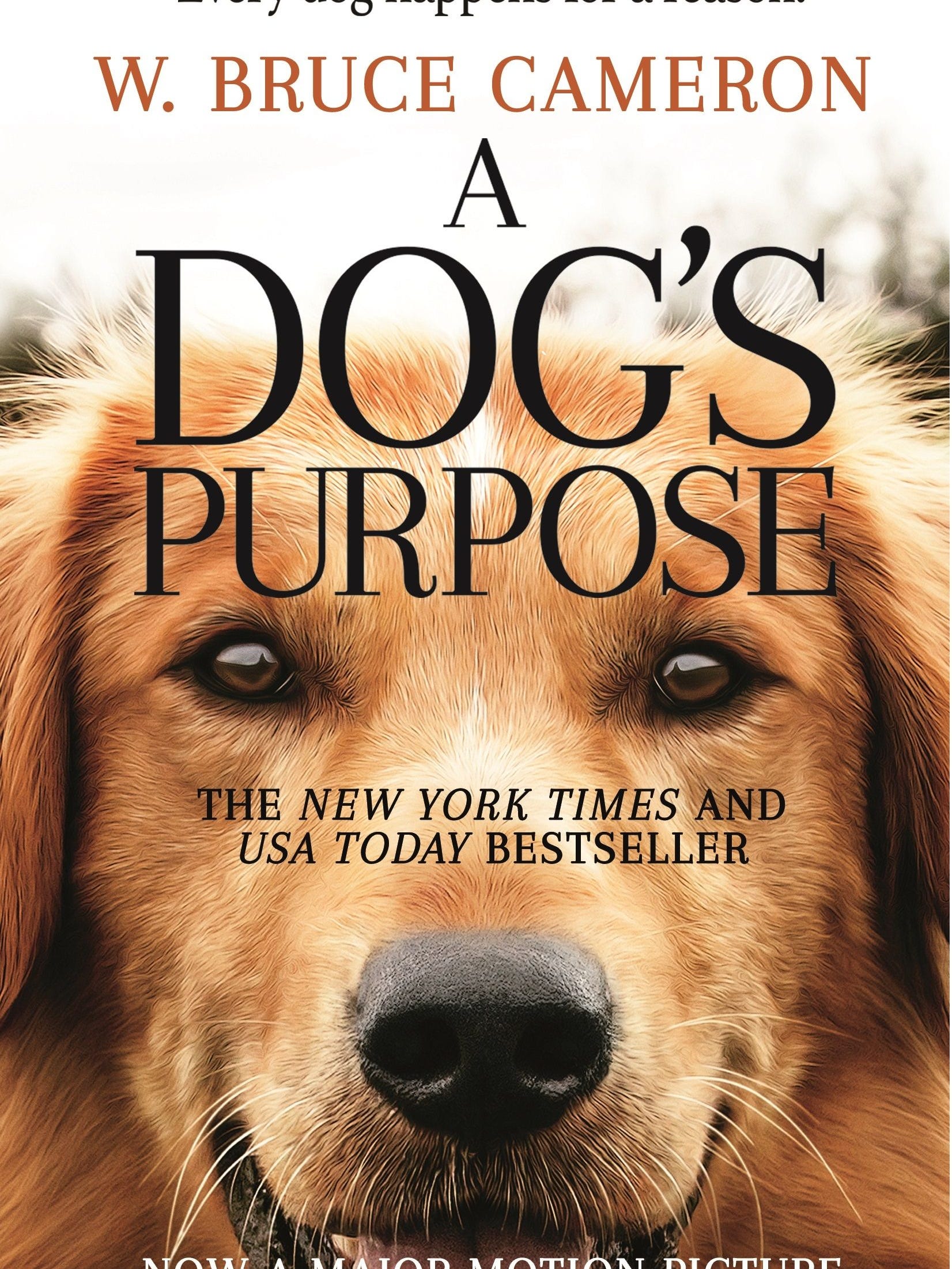 a dogs purpose movie times a dogs purpose movie times