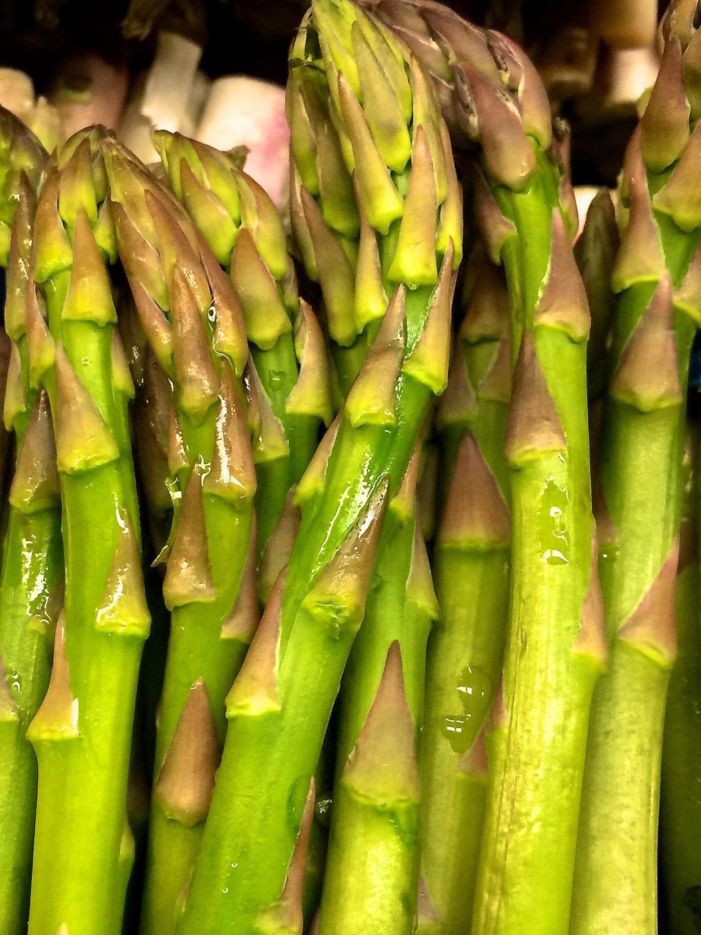 Long Lived Asparagus Plants Can Last Decades