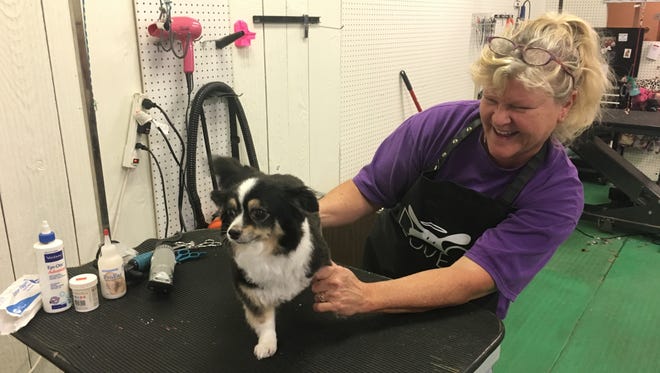 Certified groomer Joan Bucknarish is a new addition to Ufuri Pet Salon, which opened at its new location at 414 Huron Avenue on Aug. 1, 2018, in Port Huron.