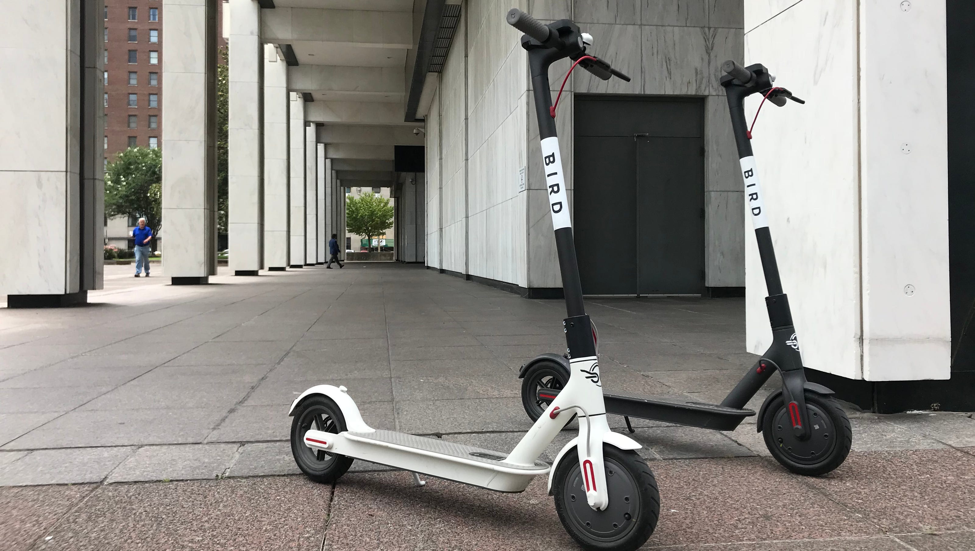 Memphis Bird electric scooter agreement | 4 things to know