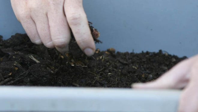 Community-level composting efforts bring many benefits.