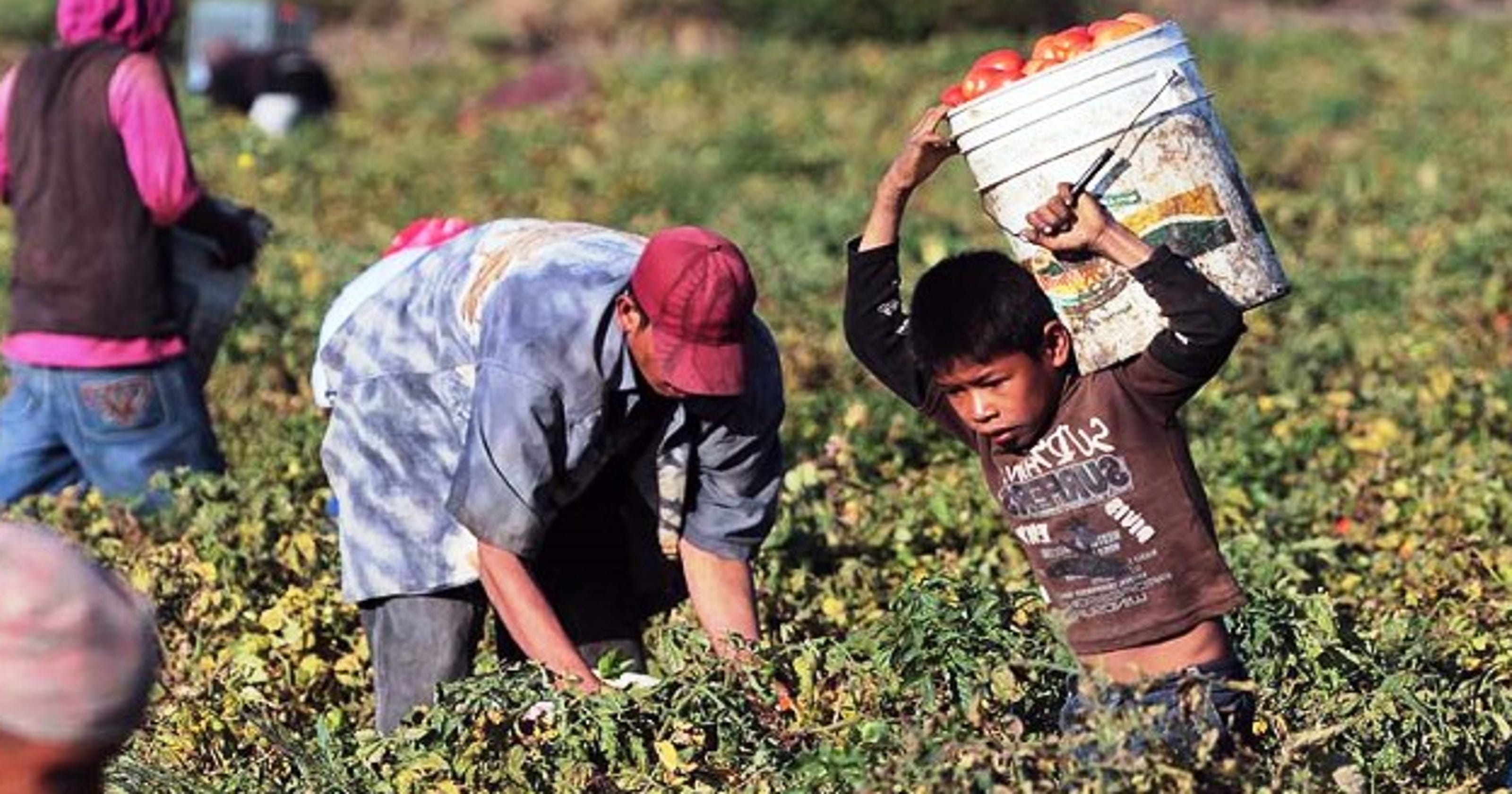 Unicef advierte exclusión de niños campesinos e indígenas ...