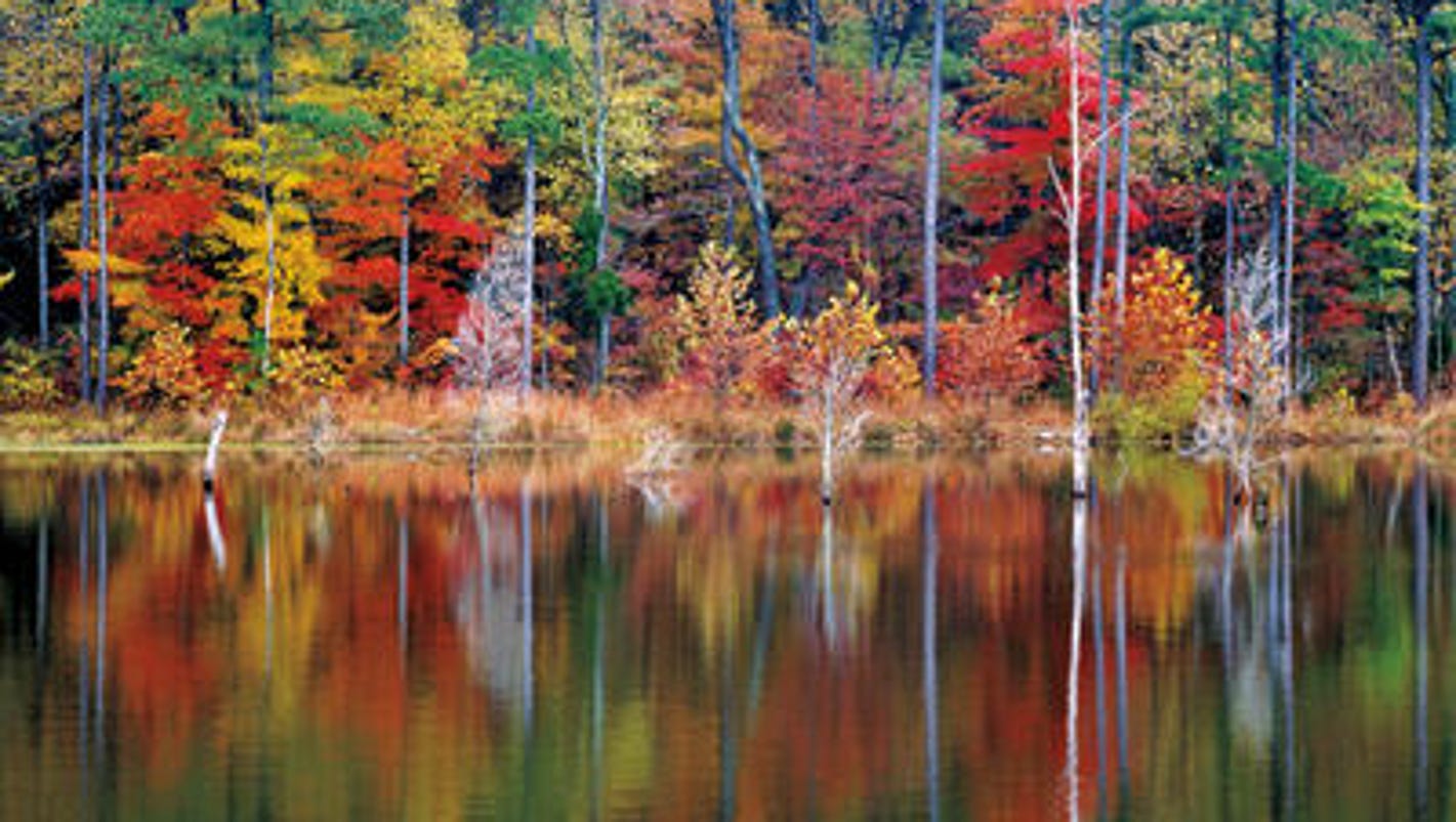 Fall foliage 2017 Here's when the leaves will be at peak in Indiana