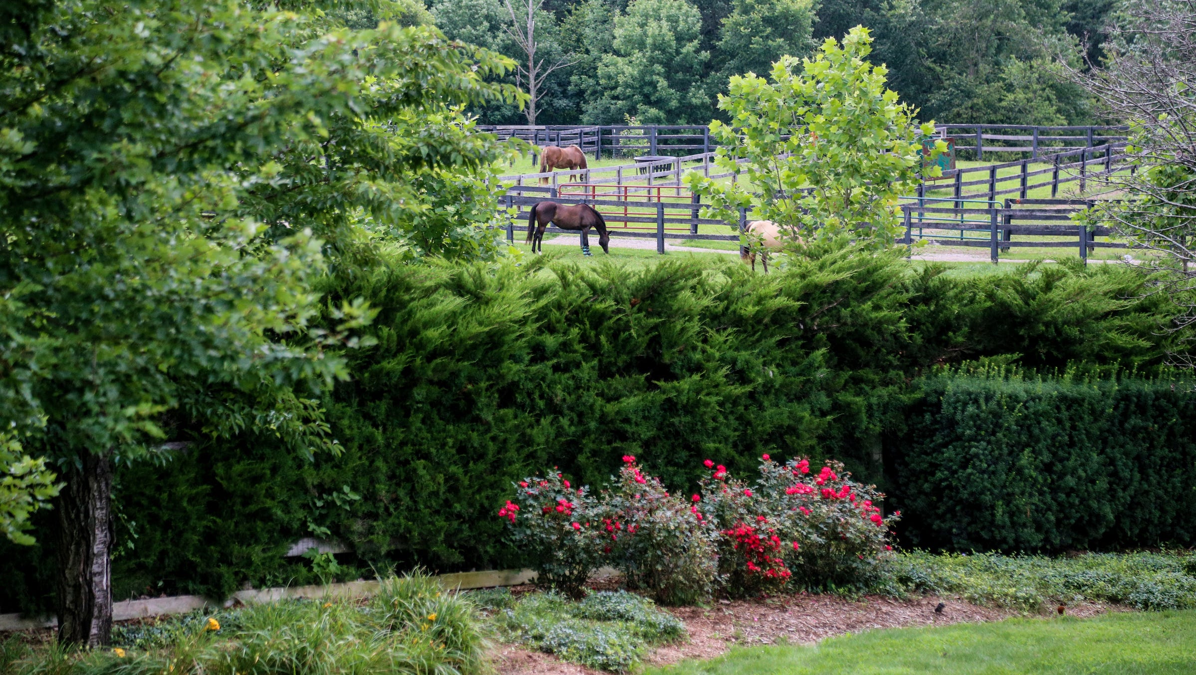 Metamora property isn't your average horse farm