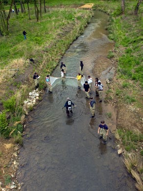 West High School environmental studies students help collect fish in Third Creek for a population study Wednesday, April 15, 2009.