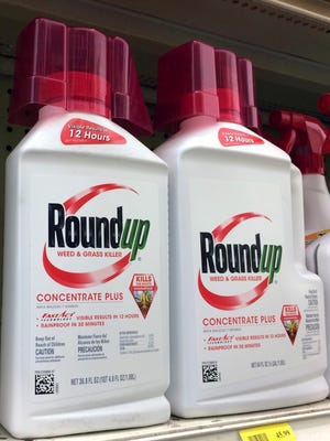 A battle over the main ingredient in Roundup, the popular weed killer sprayed by farmers and home gardeners worldwide, is coming to a head in California, where officials want to be the first to label the chemical, glyphosate, with warnings that it could cause cancer. Chemical giant Monsanto has sued the nation's leading agricultural producer, saying state officials illegally based their decision for warning labels on an international health organization.