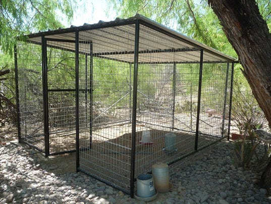 Dog Boarding Kennels In Phoenix Az Dog Boarding Kennels In Phoenix Az