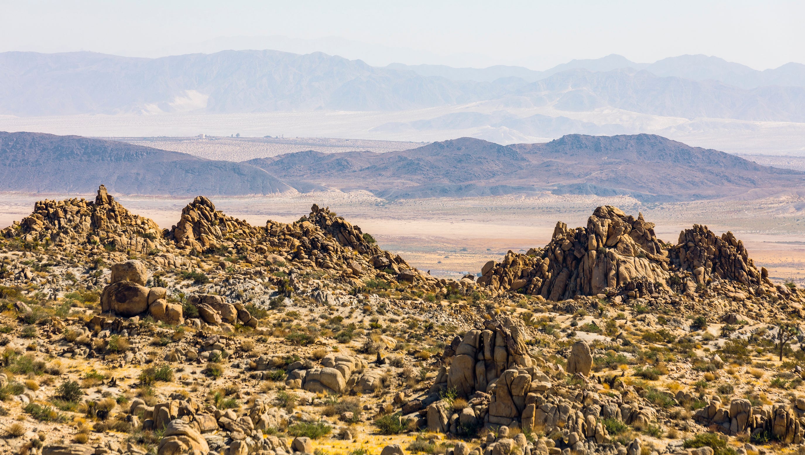 California Desert Artists Offer Poetry Prose Essays On Beauty
