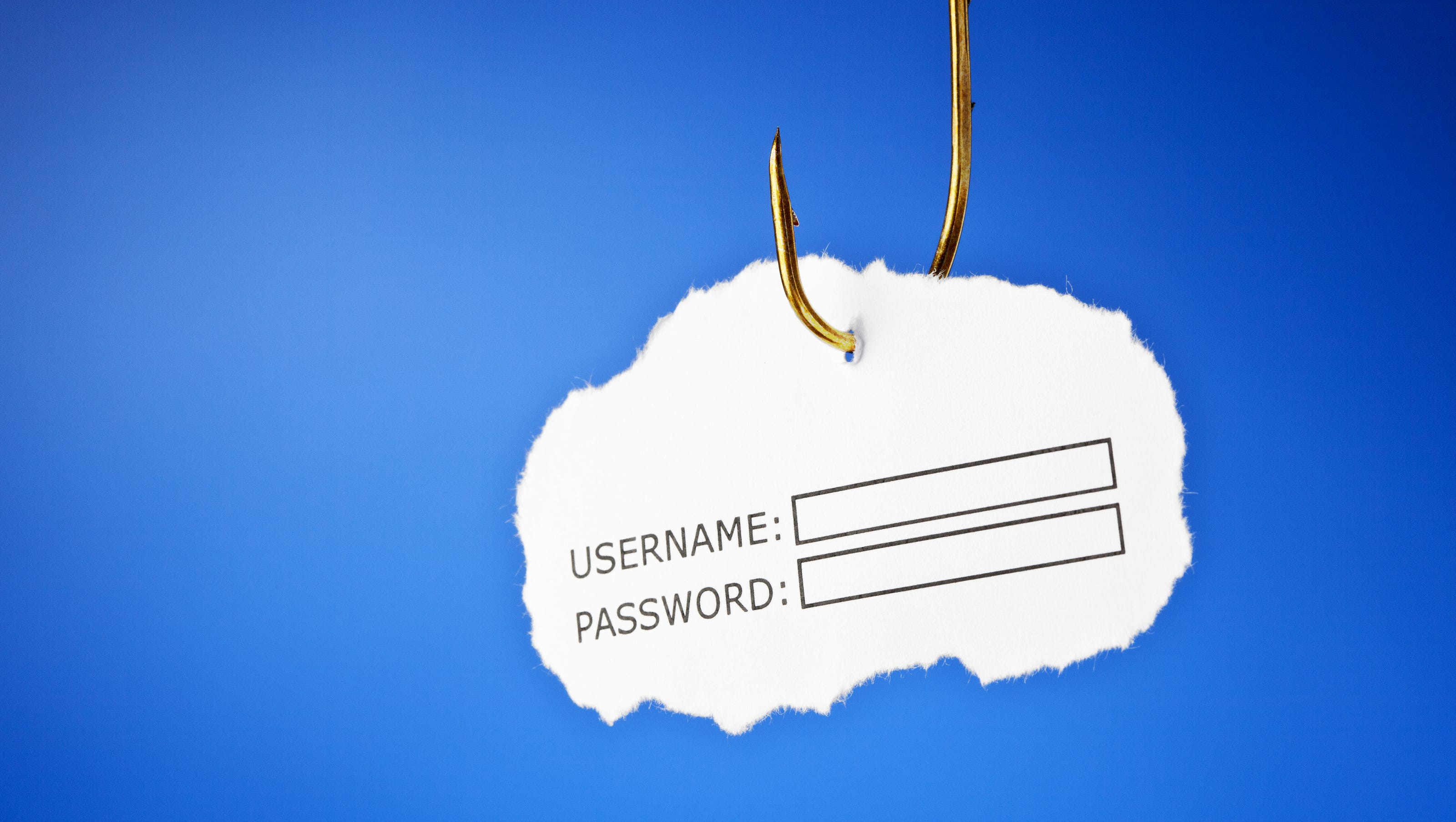 How To Prevent Phishing Scams