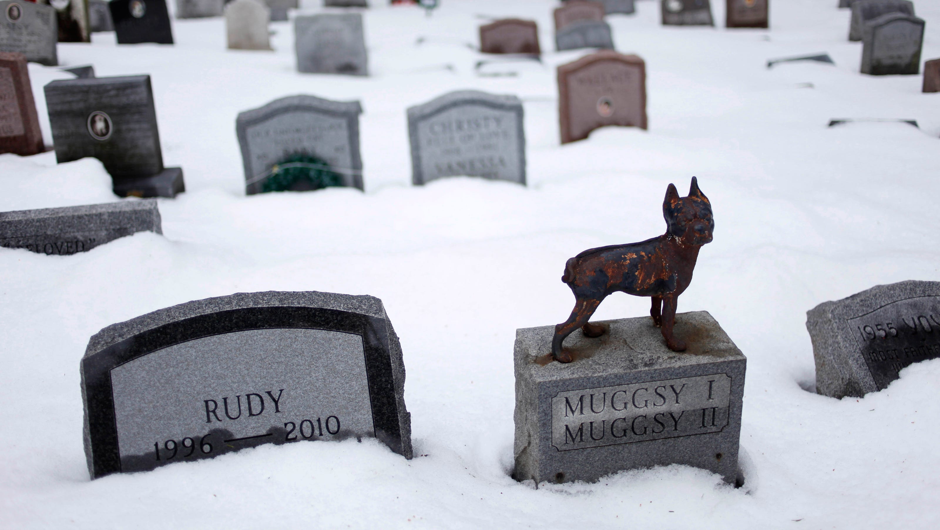 Как похоронить животное. Нью-Йоркское кладбище домашних животных. Кладбище домашних животных могила и кот. Кладбище домашних животных пес. Могилки домашних животных.