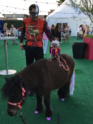 Chinese Crested dog Rascal sits atop a miniature pony as his owner looks on before a dog fashion show in Palm Desert.