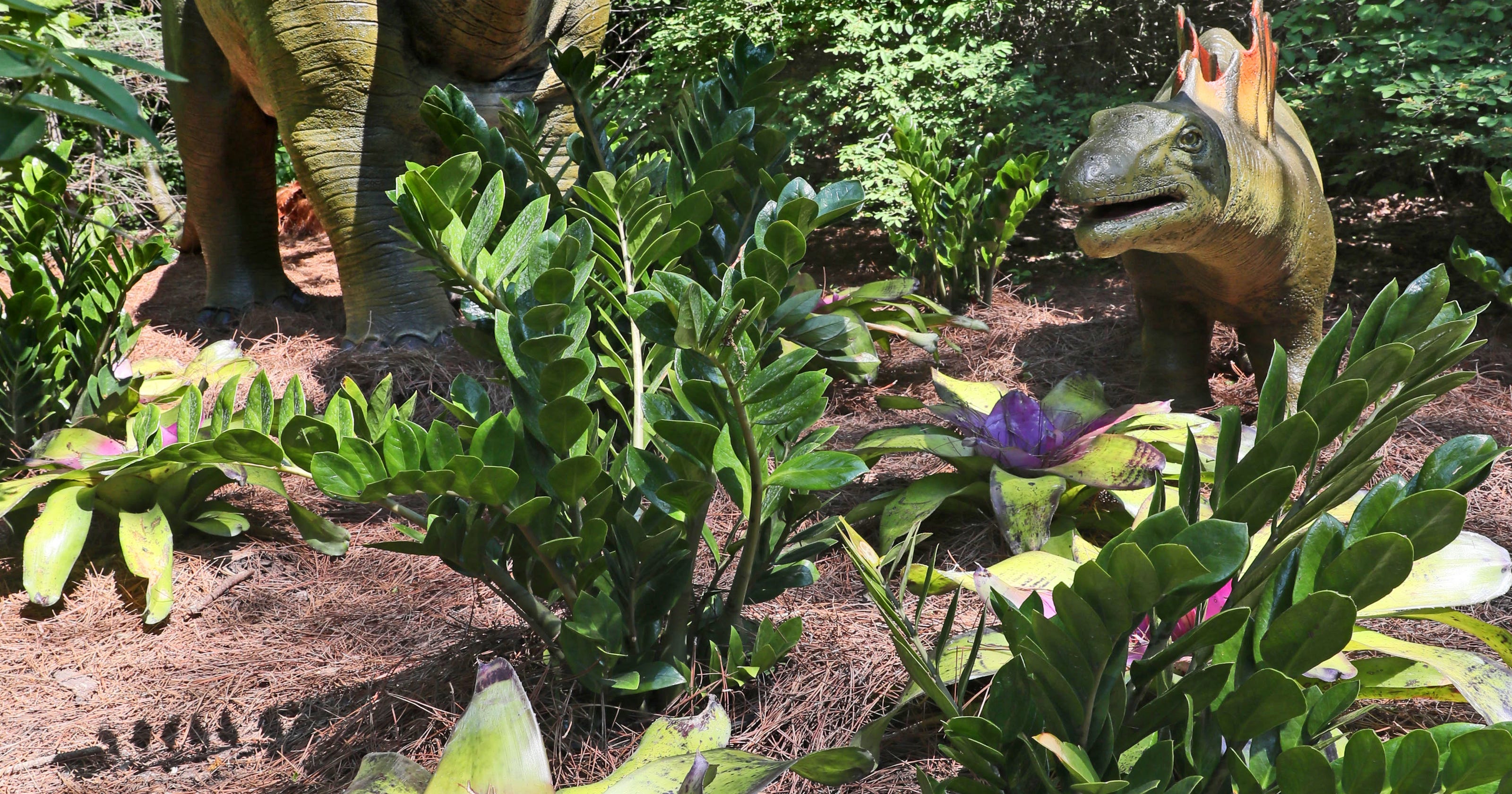Check out Milwaukee County Zoo's dinosaur exhibit greenery