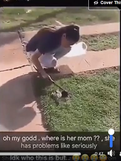 Wichita Falls PD: Teens charged with animal cruelty for killing kitten Wichita Falls PD: Teens charged with animal cruelty for killing kitten