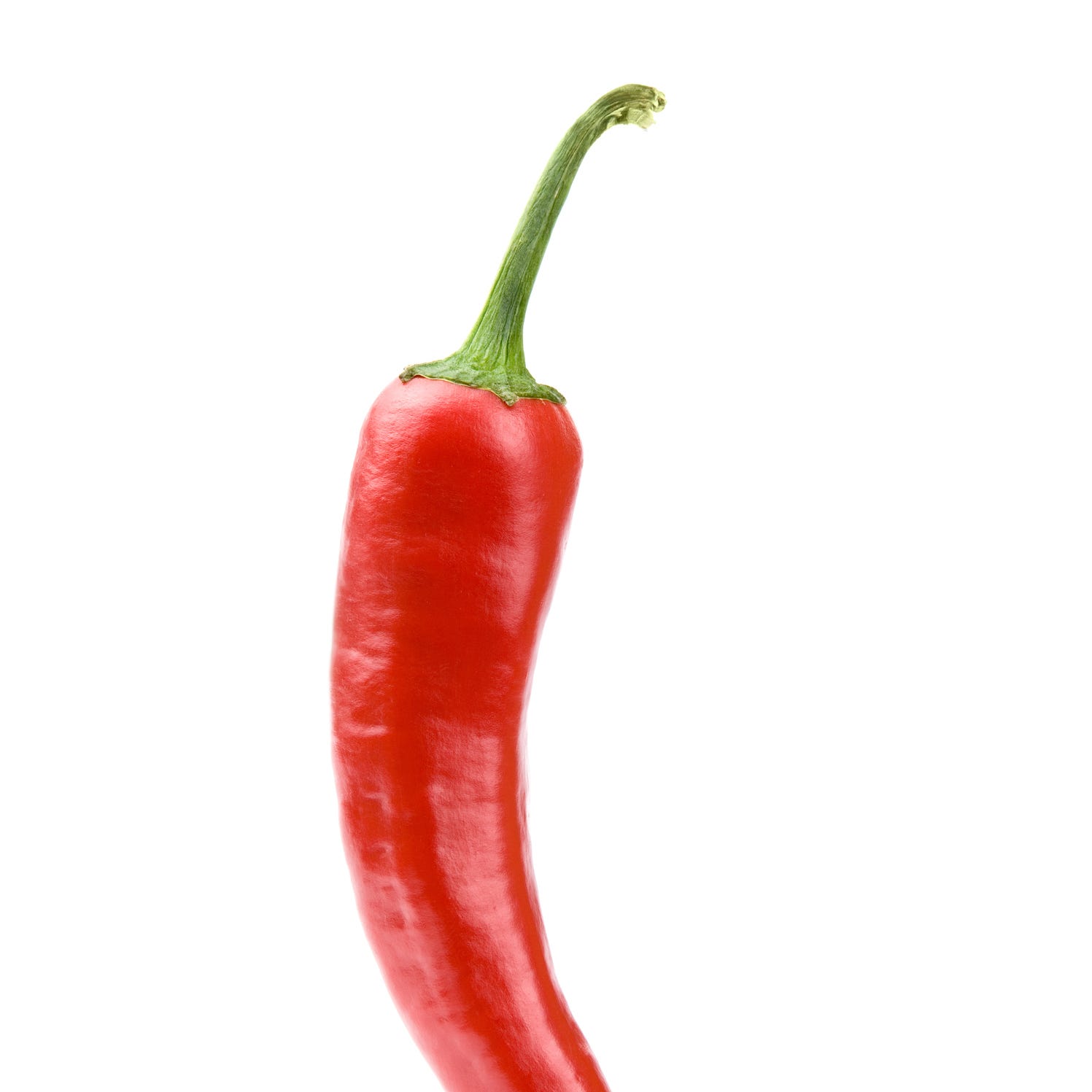 Ratemyprofessors Com Drops Chili Pepper Rating Redd pepper was born in 1961 in new york, usa. drops chili pepper rating